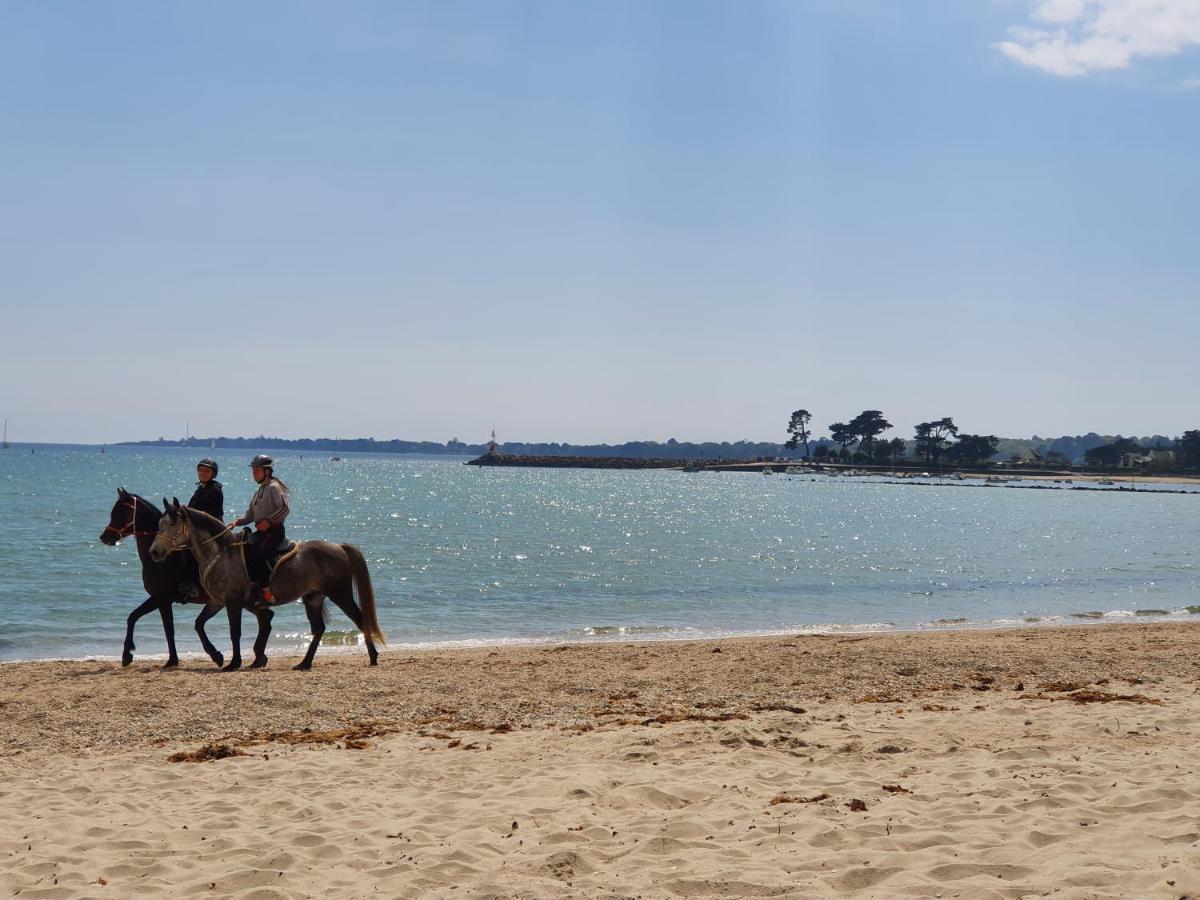 Vacances O Loch - Studio A 200 Metres De La Plage - Le Cap Coz Fouesnant Bagian luar foto